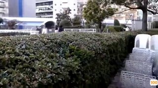 亚洲AV.中华英雄日本免费一区香蕉视频,亚洲毛片免费一级,国产在线精品一区亚洲毛片免费一级,国产在线精品一区二区不卡麻豆